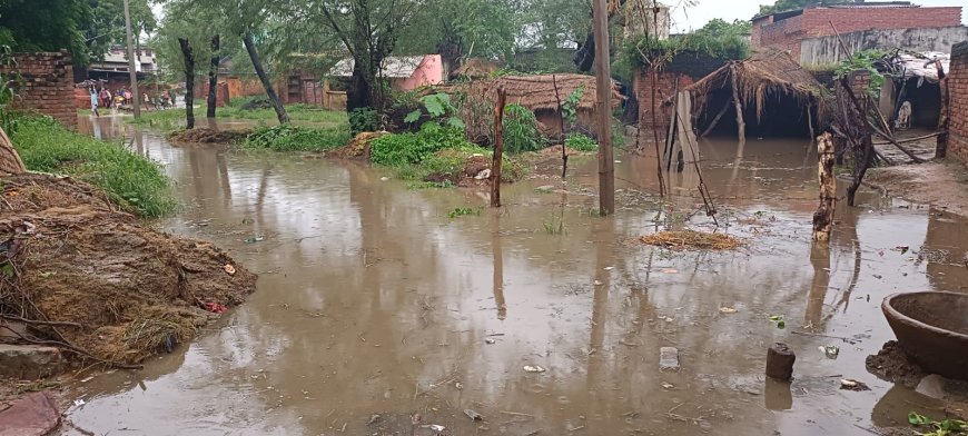 करकौली पुरा का तालाब दे रहा मौत को दावत, लगातर एक के बाद एक तीन मौतों के बाद भी नहीं हुई तालाब की सफाई