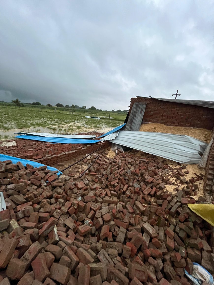 फतेहाबाद के एक दर्जन गांवों में आंधी, वर्षा और तूफान का कहर, दर्जनों पेड टूटे, विद्युत पोल गिरे, कई मकान धराशाई, लाखों का नुकसान